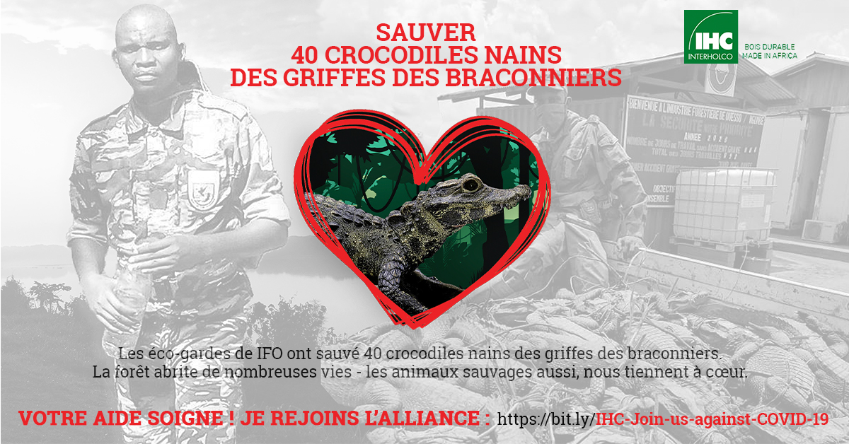 FR INTERHOLCO COVID Faune crocodiles nains Alliance