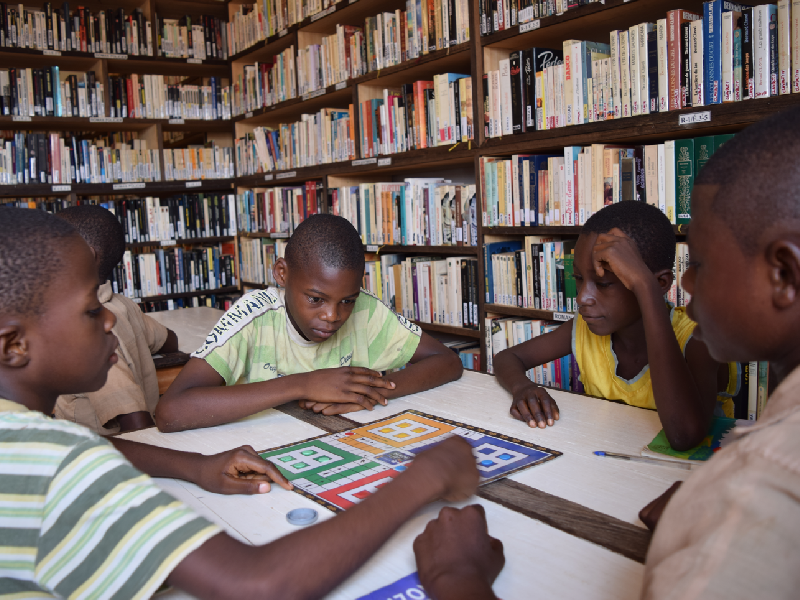 Global Timber Interholco Library Congo 6