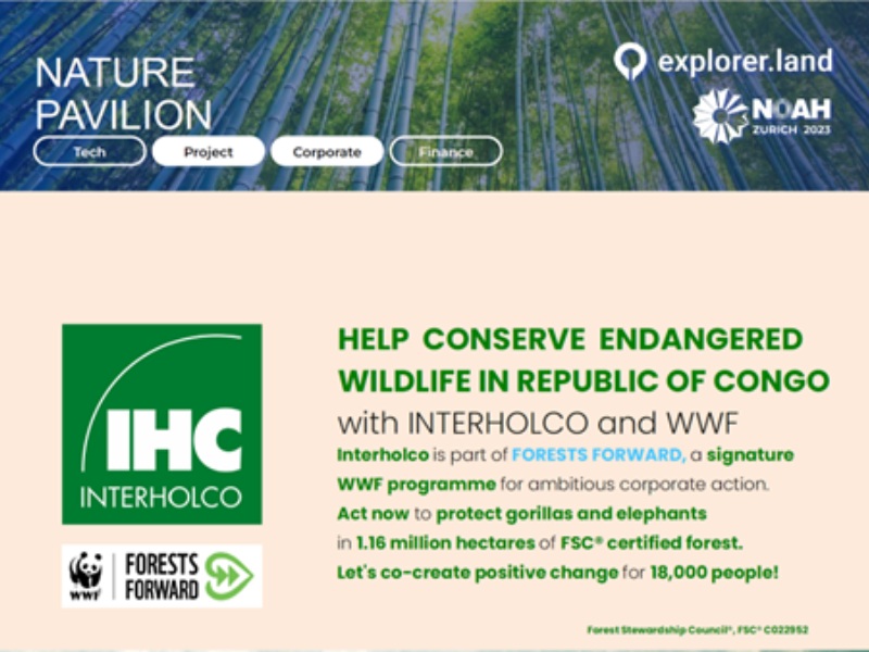 Comment Interholco fait avancer les forêts grâce au WWF et à l’innovation fondée sur la science