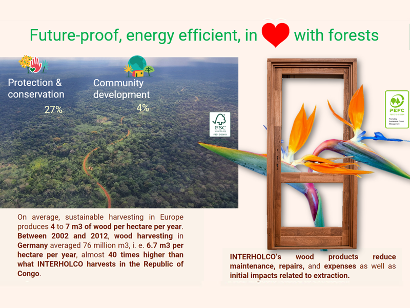 The timber industry reimagined: lessons from market struggles and sustainability efforts