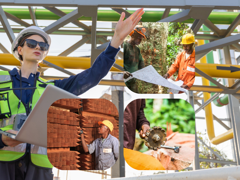 Afrique : volatilité en amont, stabilité en aval grâce à nos bois