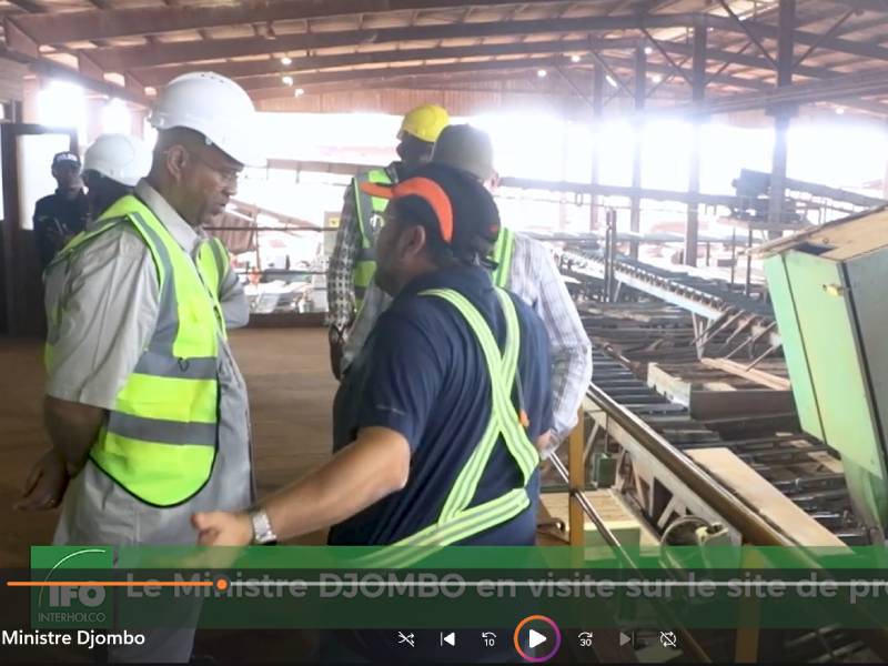 Visite Ministre Djombo Developement industriel ZES 3