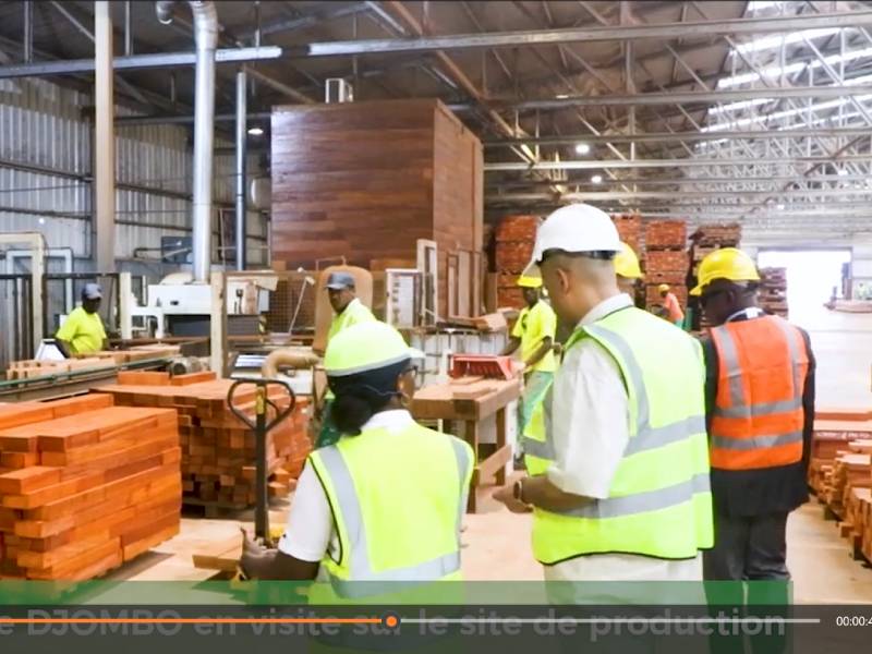Visite Ministre Djombo Developement industriel ZES 5