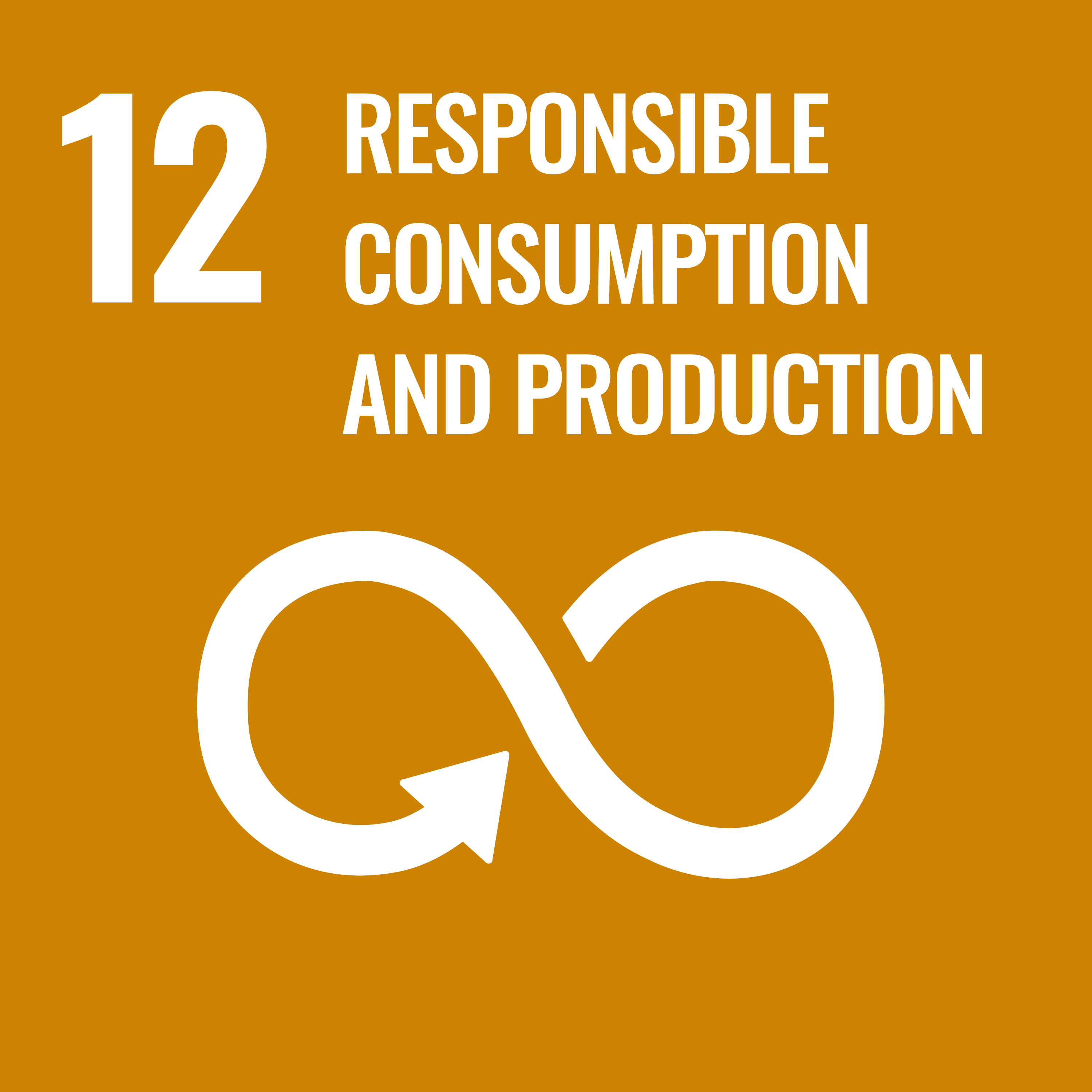 Our contribution to SDG 12