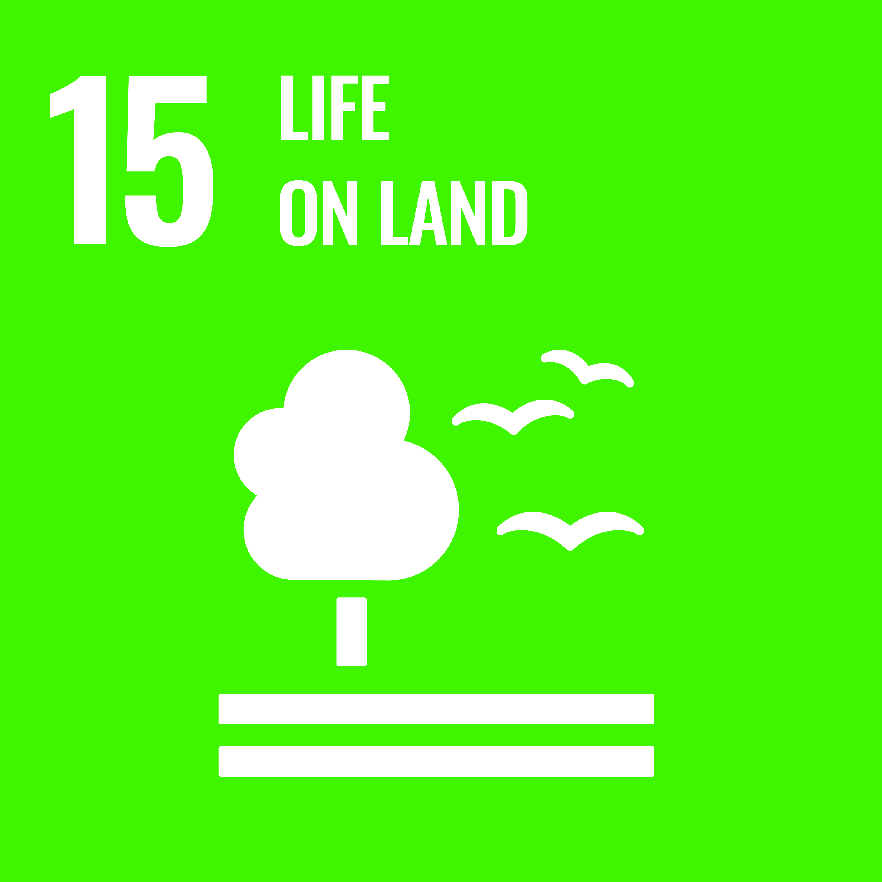 Our contribution to SDG 15