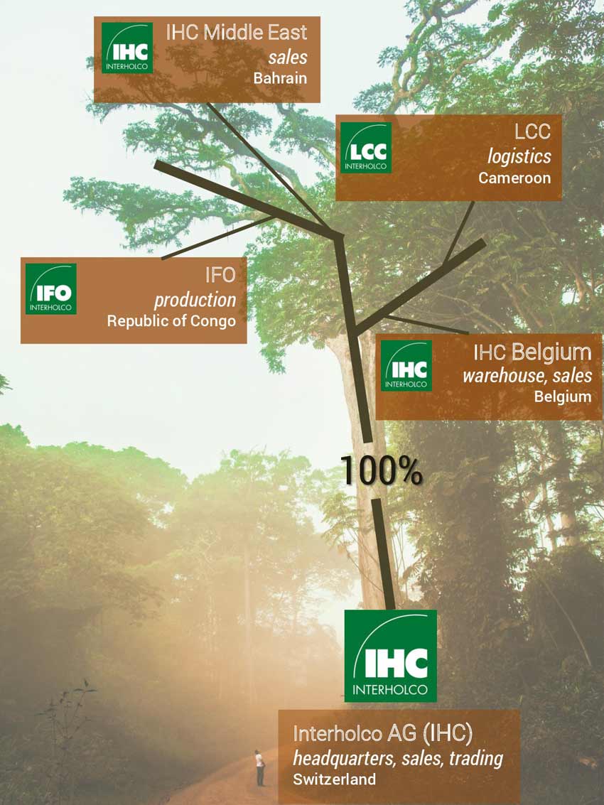 Our legal structure Interholco