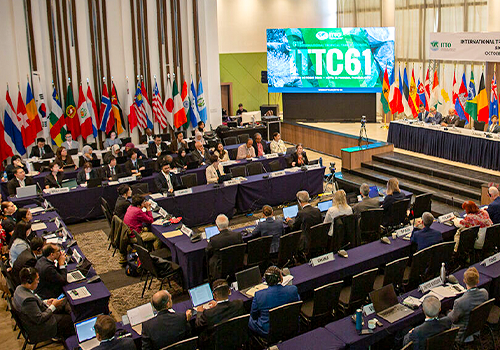 ITTO Council Panama 2025 Interholco 61 ITTC